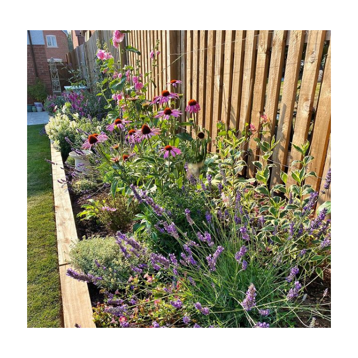 Pack de 48 mini traverses de bois traitée UC3 | 3 m x 150 mm x 75 mm – Image 4